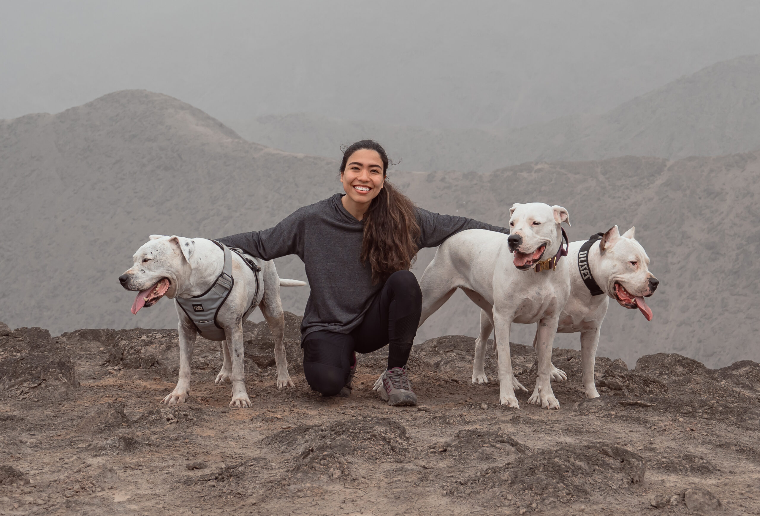 Valeria Ayvar, House of Dogos