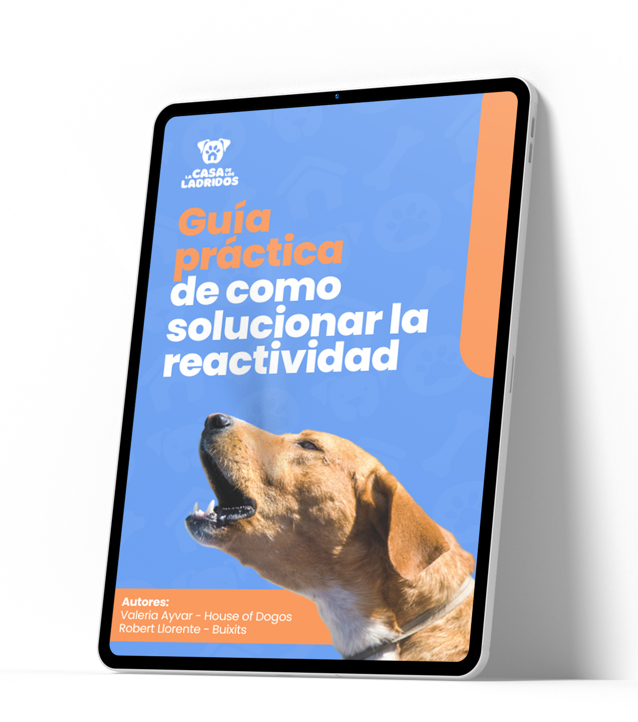 ebook1