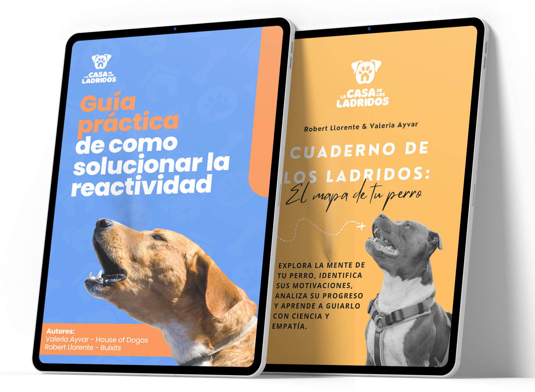 ebook1